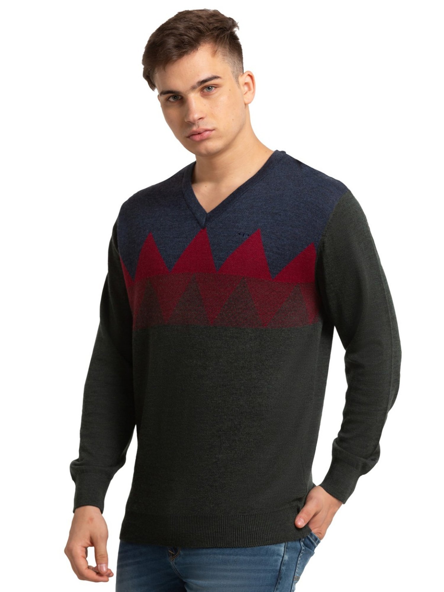 ColorPlus Beige Tailored Fit Self Pattern Sweater