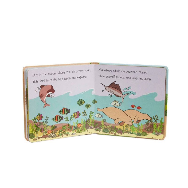 Natural Play Book Bundle - (Board Book)