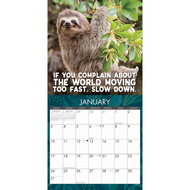 2021 Monthly Wall Calendar Sloth Mode - Willow Creek Press