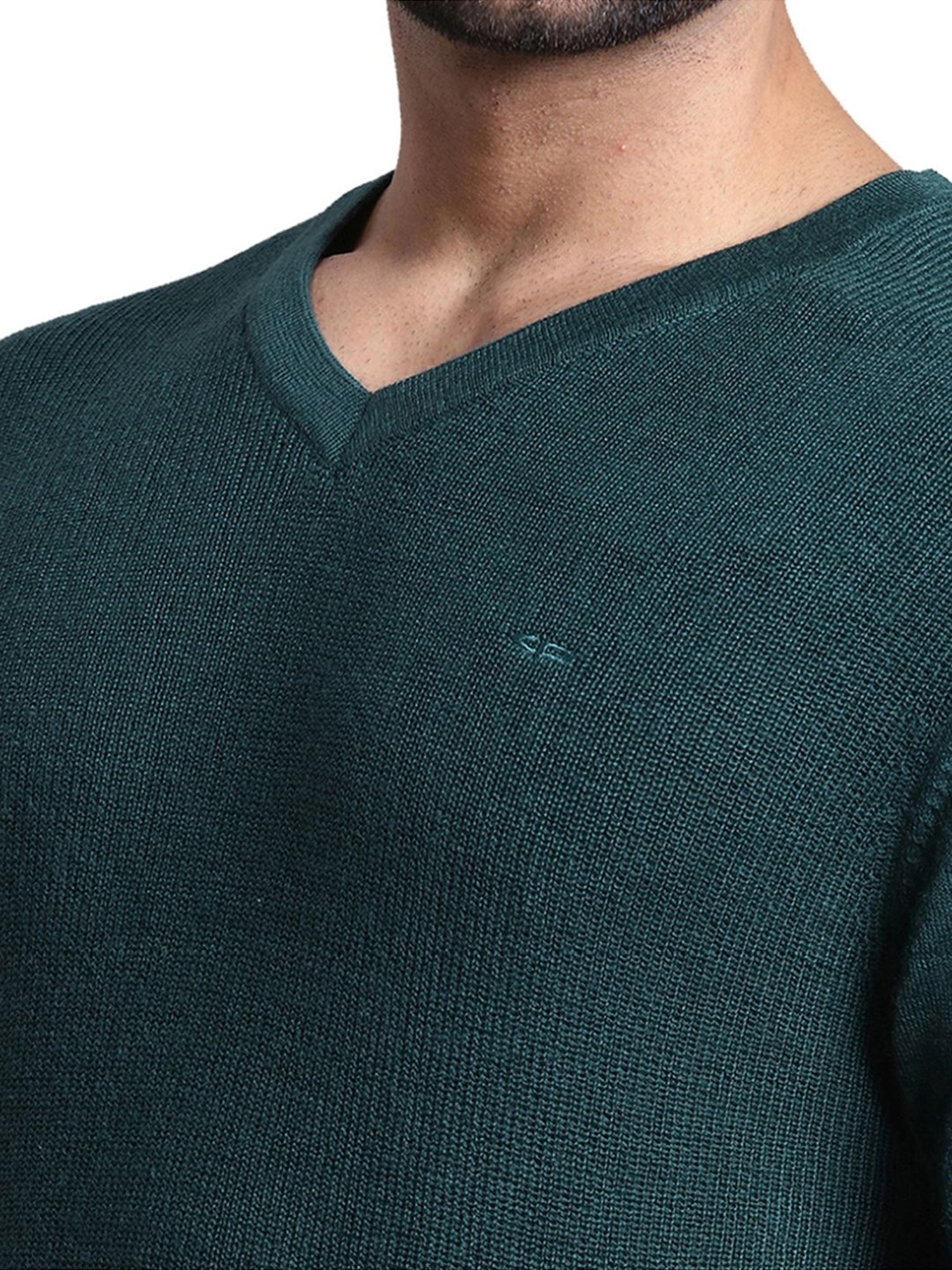 ColorPlus Green Tailored Fit Sweater