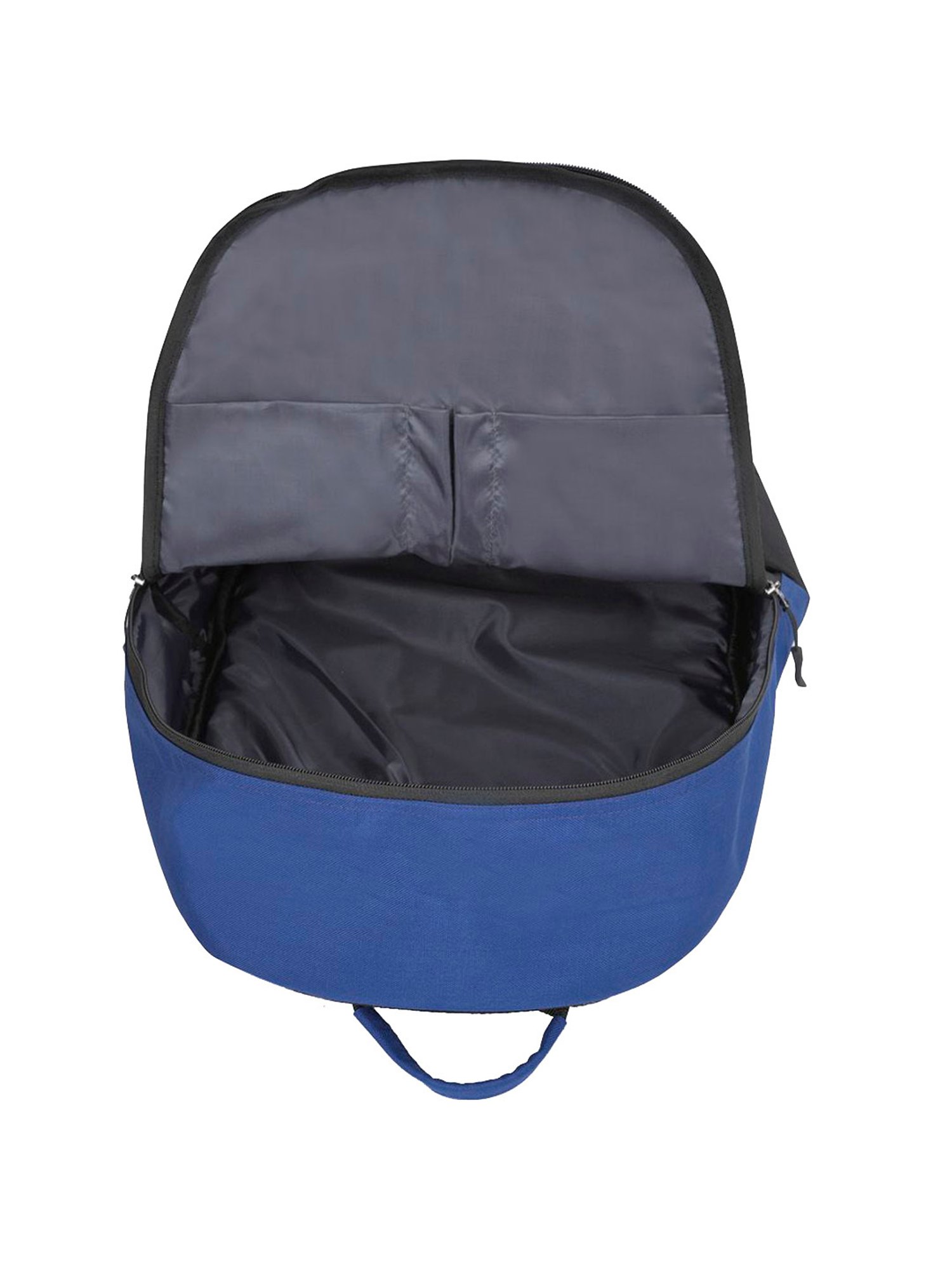 Aeropostale Fallon Blue Polyester Printed Backpack - 18 Ltrs