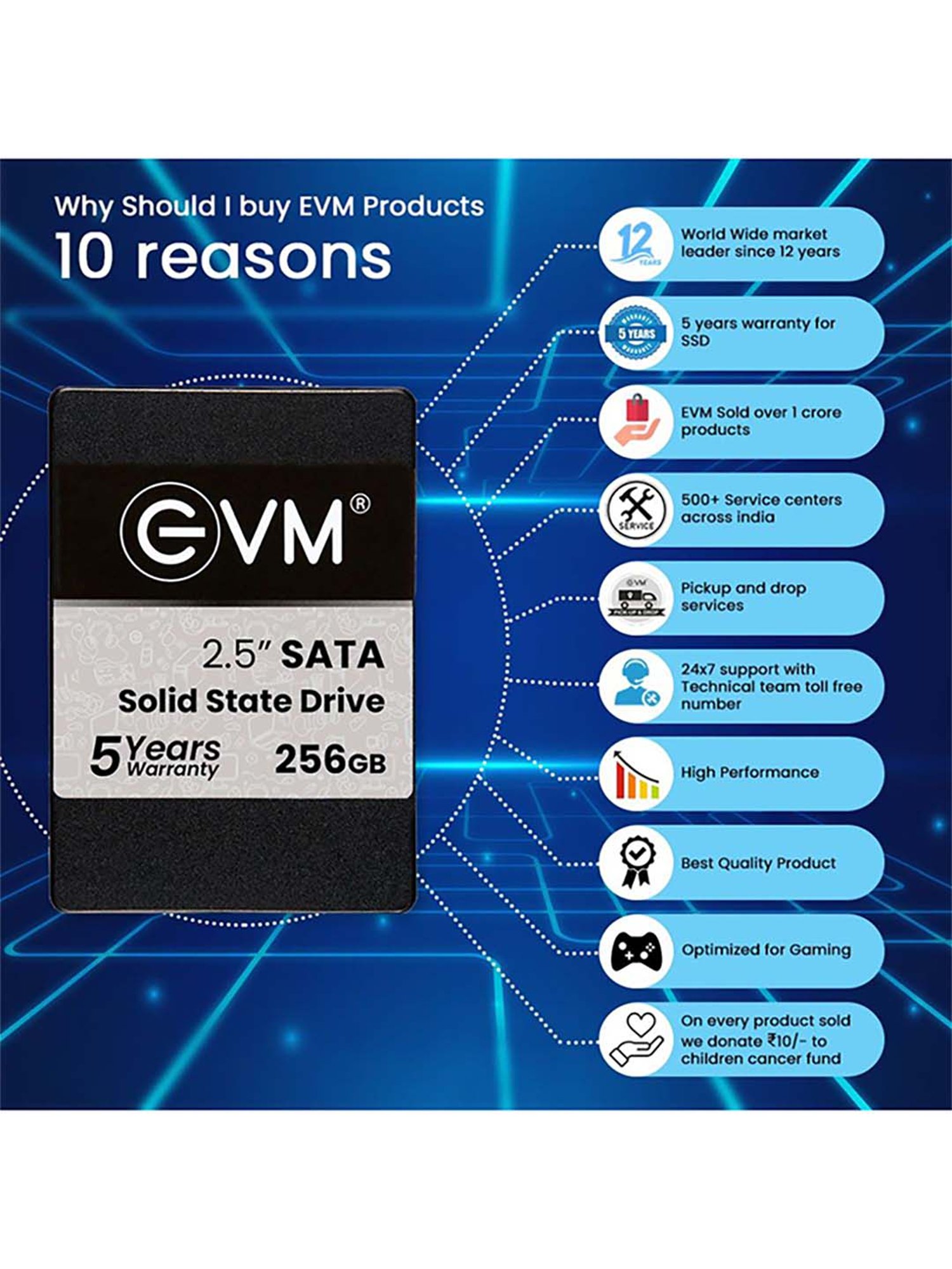 EVM EVM25 256GB 2.5 inch SATA Internal SSD (Black)