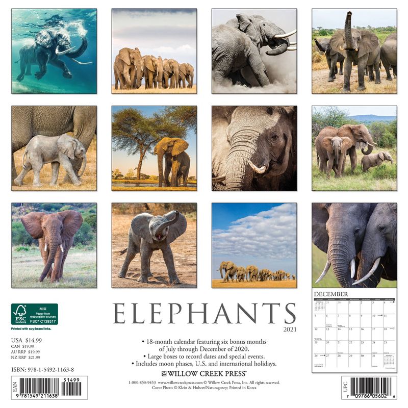 2021 Monthly Wall Calendar Elephants - Willow Creek Press