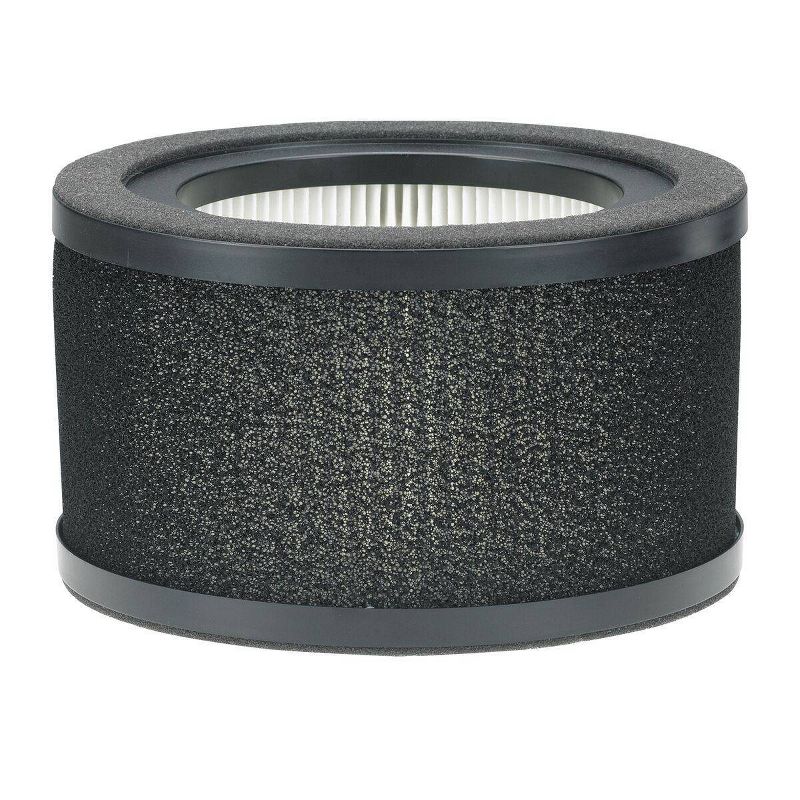 GermGuardian HEPA Genuine Air Control Filter L Replacement for AC4200