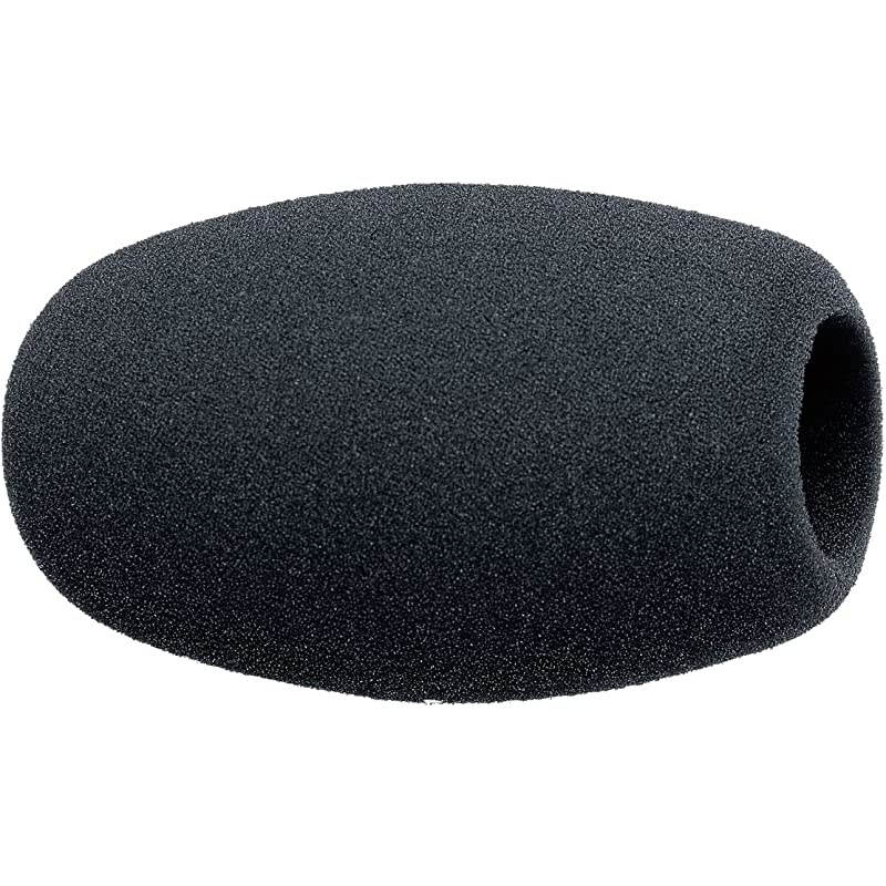 004839 Foam Windshield