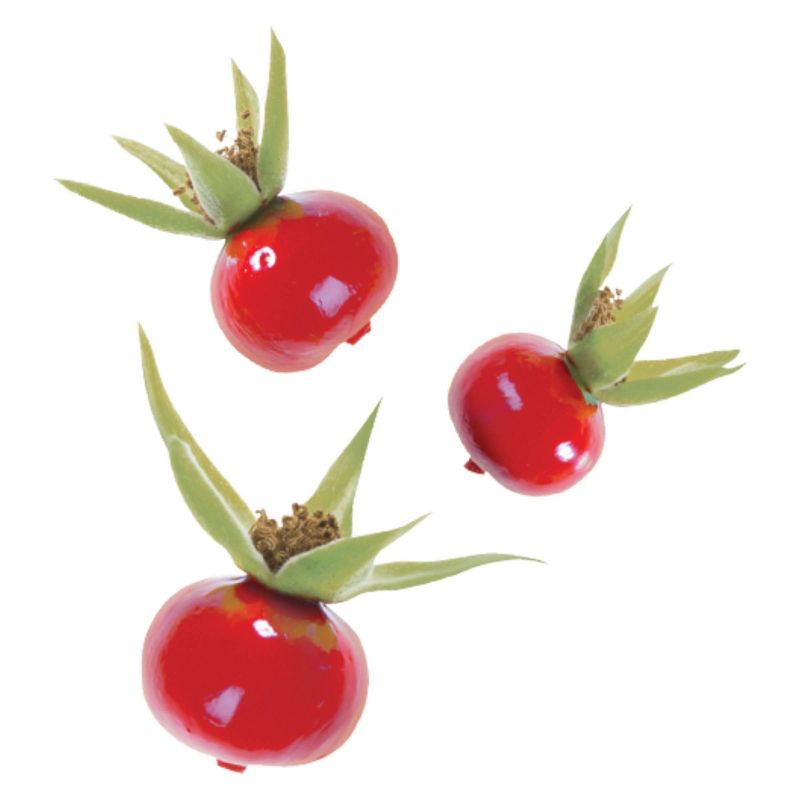 Tazo Wild Sweet Orange Caffeine-Free Herbal Tea - 20ct