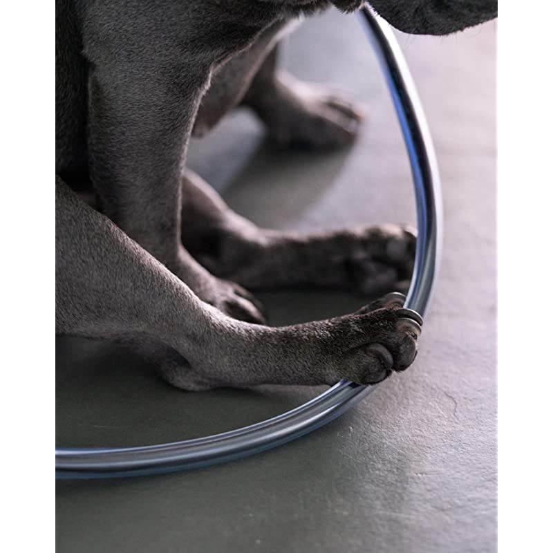 Dog and Cat Cord Protector Protects Your Pets from Chewing Through Insulated Cables up to 10ft Unscented Odorless