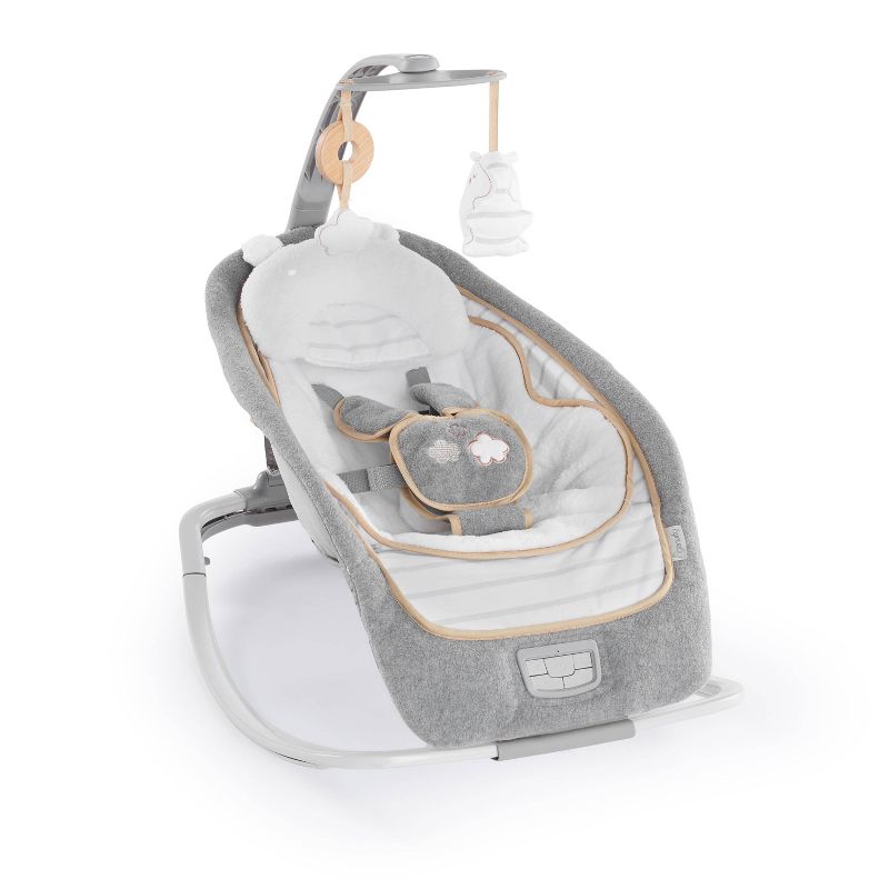 ​Fisher-Price Baby Bouncer