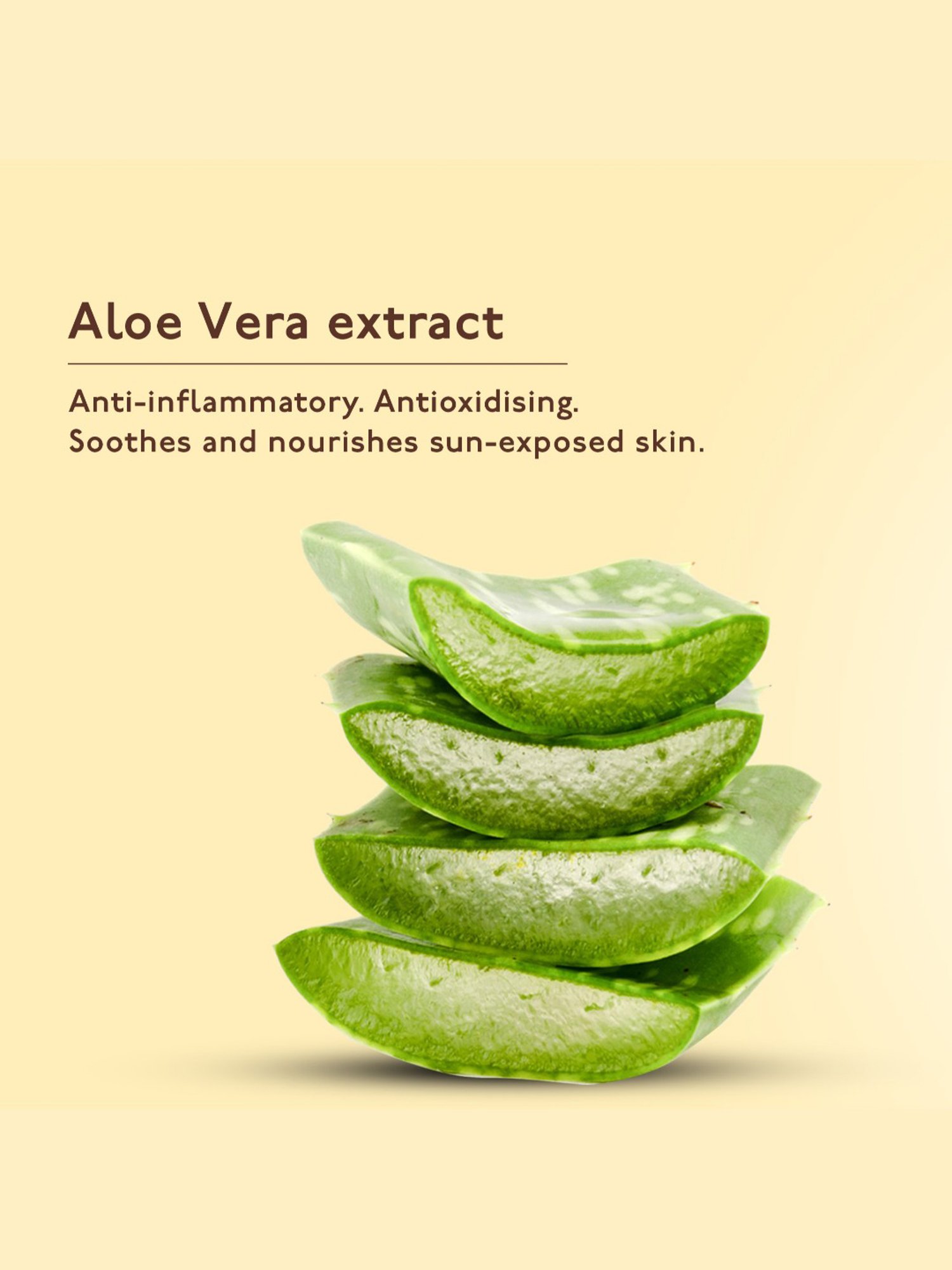 Asaya Broadspectrum Waterproof Sunscreen Spray SPF 50+ - 100 ml