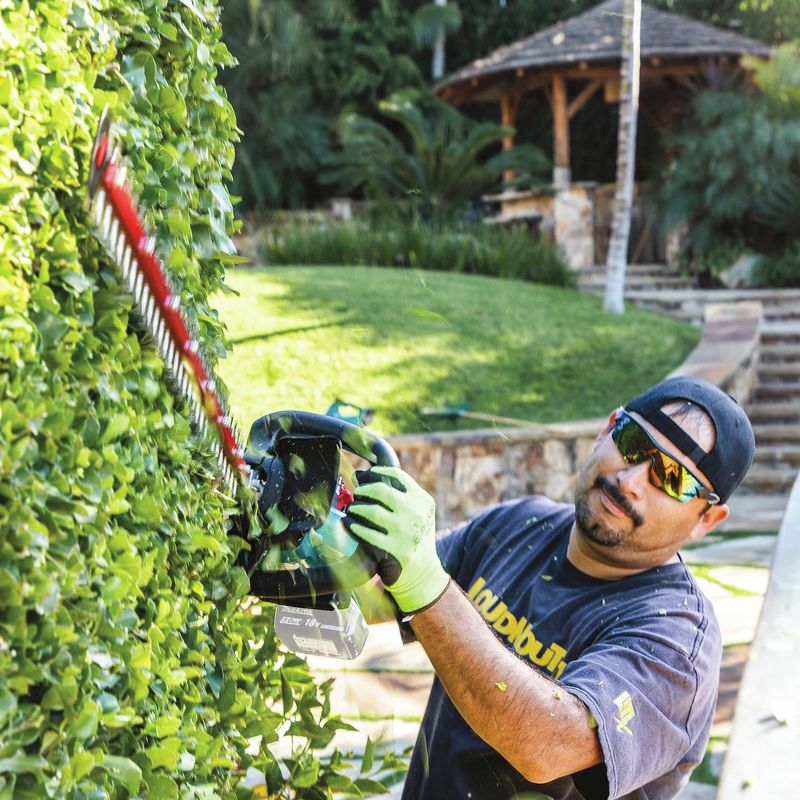 Sun Joe 24V-HT22-CT 24-Volt iON+ Cordless Hedge Trimmer | 22-Inch | Tool Only.