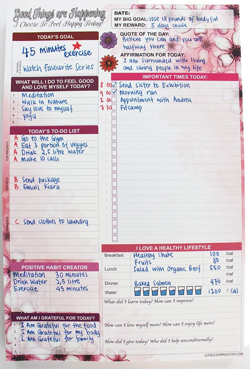 90 Day Planner with Gratitude List, Reflection and all the Planner Tools You Need - A Daily planner to Achieve Your Goals & Increase Productivity, Passion & Happiness (6" x 9" Pink Flowers)