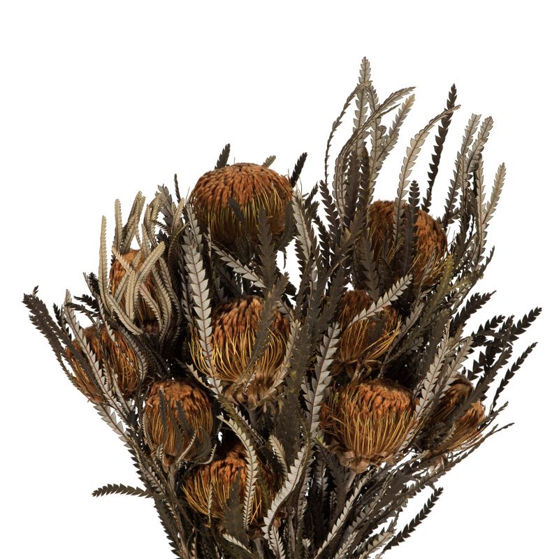 Vickerman 12" Autumn Banksia Foliage & Flowers-Preserved, 4 oz Bundle