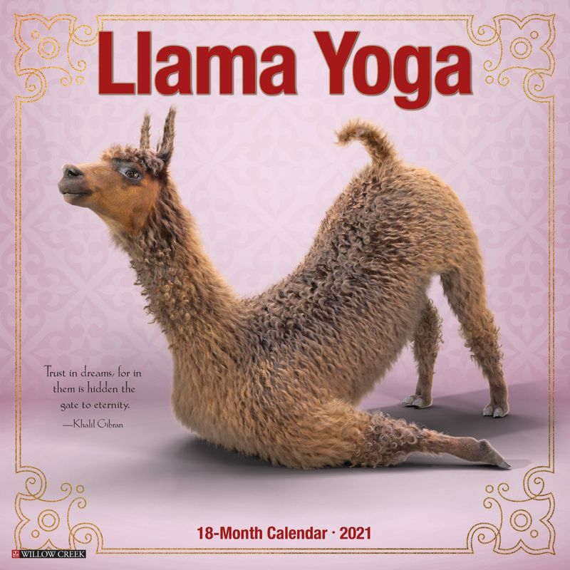 2021 Monthly Wall Calendar Llama Yoga - Willow Creek Press