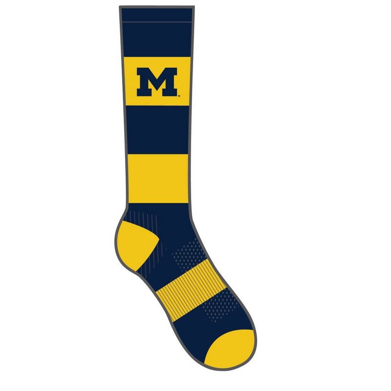 NCAA Michigan Wolverines Men's Bachelor Crew Socks 10-13