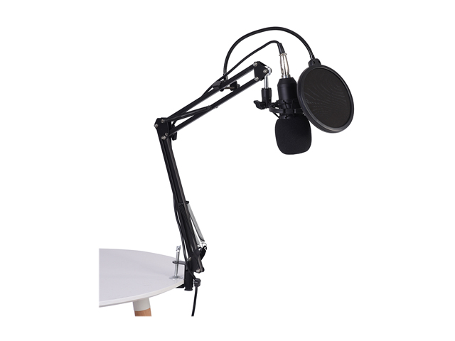 gold--BM800 Professional Suspension Microphone Kit Studio Live Stream Broadcasting Recording Condenser Microphone Set