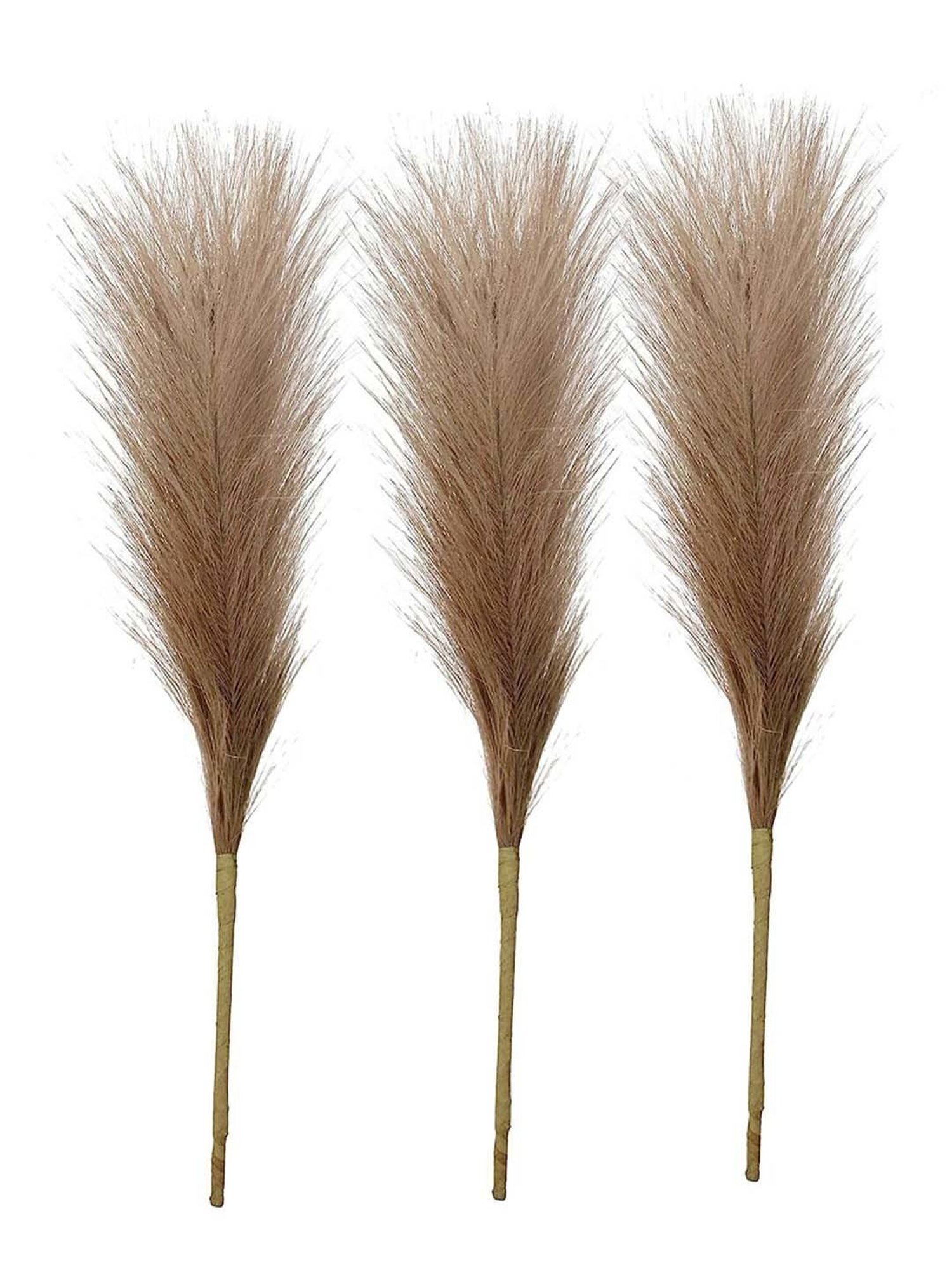 Homesake Natural Plastic Artificial Fluffy Pampas Grass Sticks For Vases - Set of 3