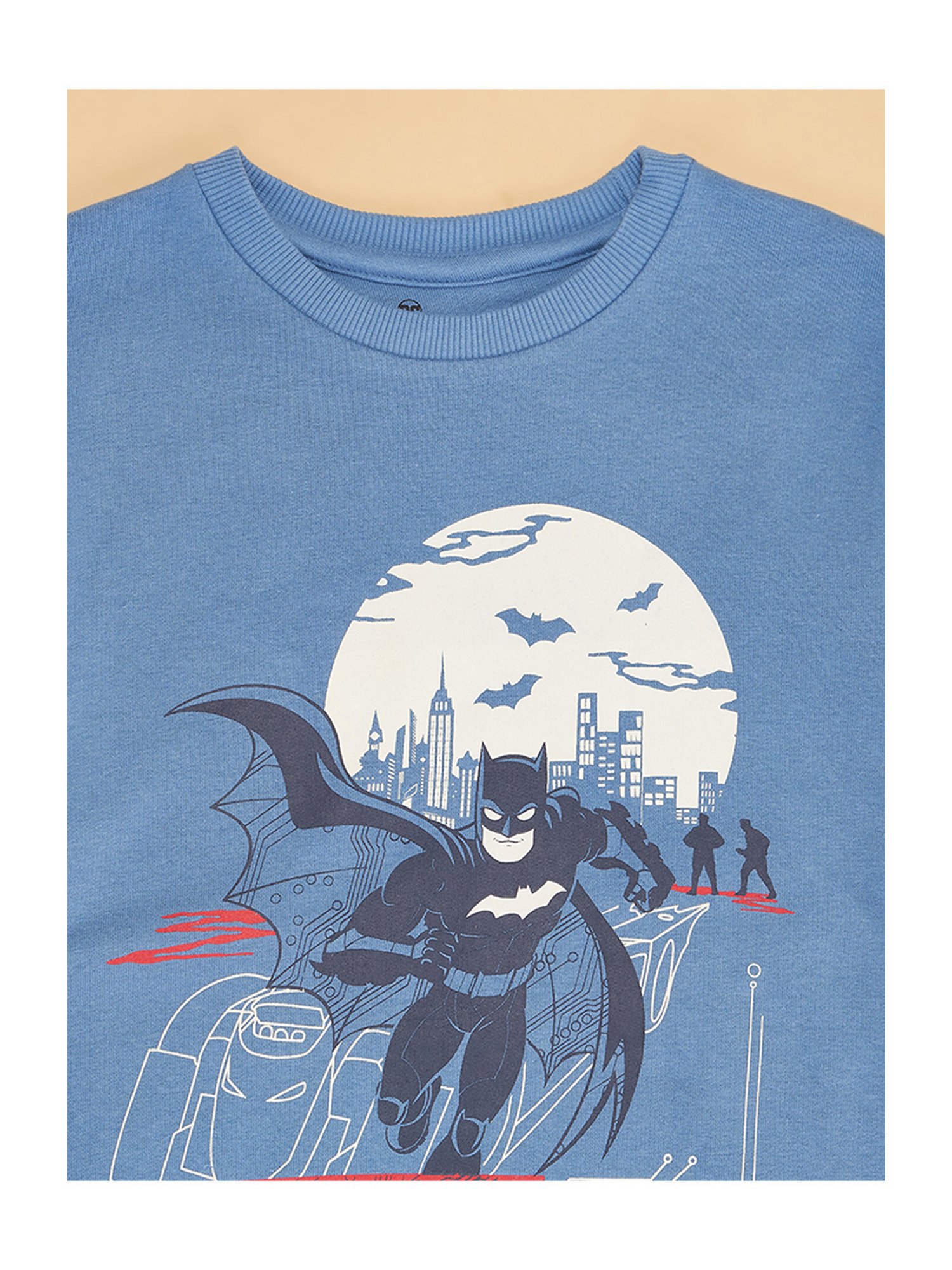 YU by Pantaloons Kids Blue Printed Full Sleeves Sweatshirt