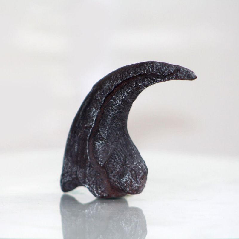 Master Replicas Velociraptor Claw Resin Fossil Replica