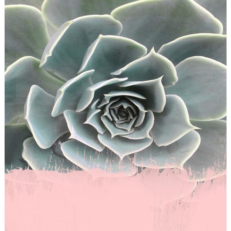 Americanflat Pink On Succulent by Emanuela Carratoni 71" x 74" Shower Curtain