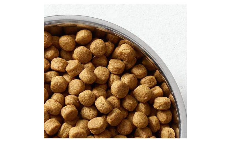 Nutro Wholesome Essentials Small Bites Lamb & Rice Recipe Adult Dry Dog Food - 5lbs