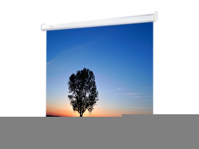 DRAPER 119" Manual Luma Manual Wall and Ceiling Projection Screen 207004