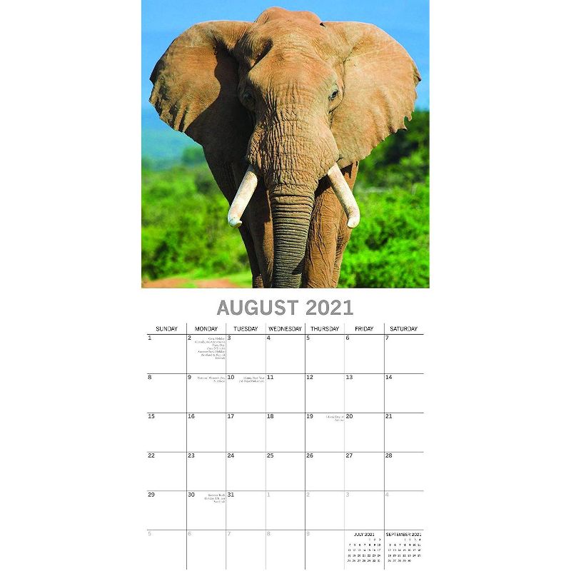 Sellers Publishing, 2021 Outlander 16-Month Wall Calendar