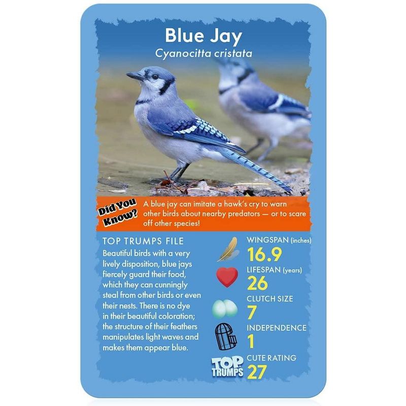 Top Trumps Birds Top Trumps Card Game