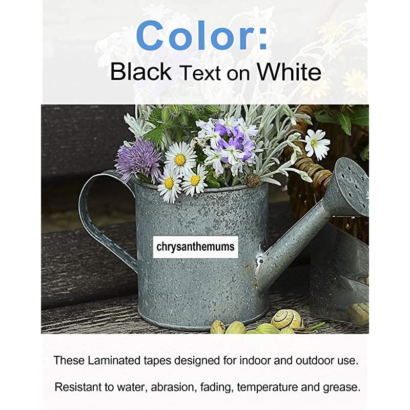 Laminated 12mm Label Tape 6 Pack  Replace with Brother P Touch Tape TZ TZe231 Black on White 047 inch to use with PTouch Cube D600 H110 D210 Labeller 262 ft Roll