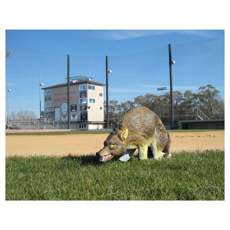 3D Coyote Decoy - Bird-X