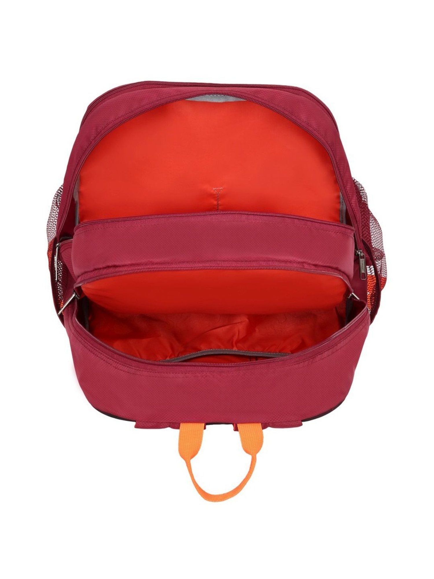 Lavie Sport Charge Maroon Polyester Medium Backpack