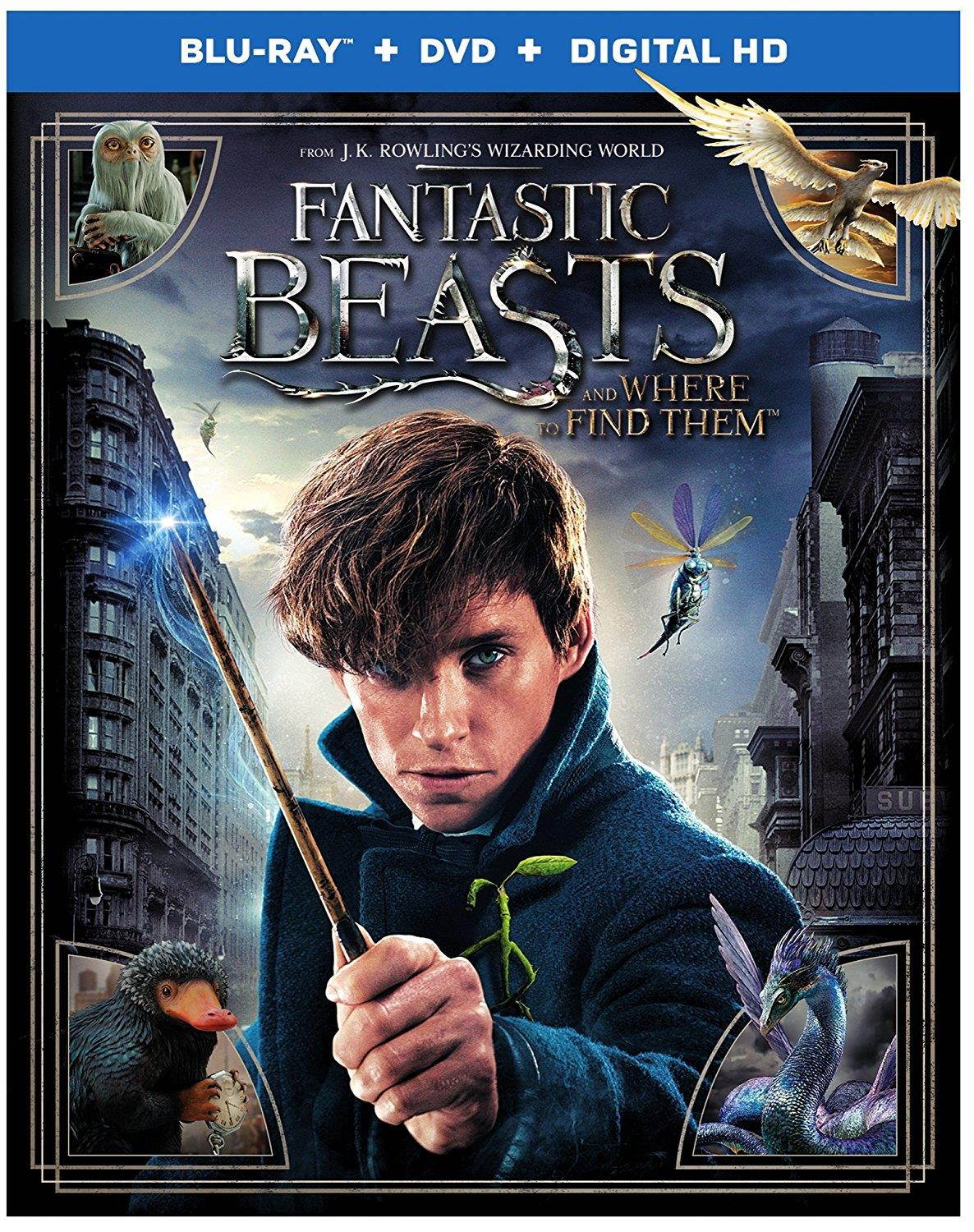 Fantastic Beasts & Where to Find Them Blu-Ray Combo Pack Blu-Ray/DVD/Digital