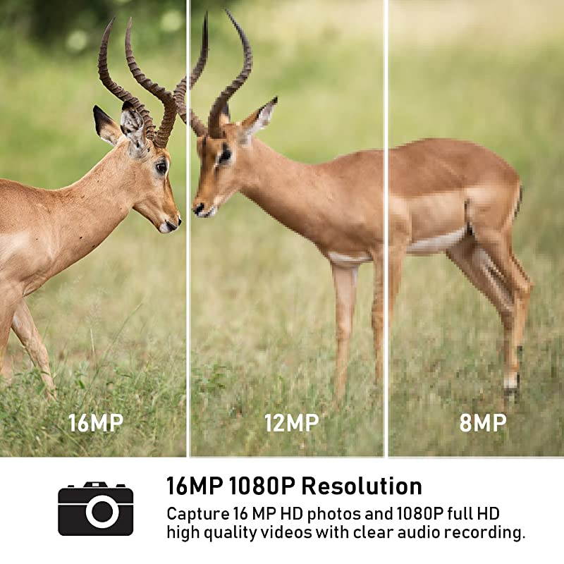 Trail Game Camera 16MP 1080P HD IP65 with Night Vision Motion Activated 110 20m Detection Range Hunting Scouting Cam Trigger Time 06s Wildlife Monitoring with 24 LCD IR LEDs for Outdoor