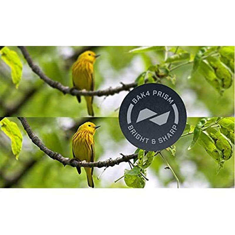 H2O Roof Prism Binoculars