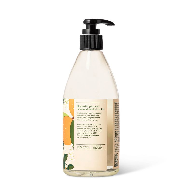 Raw Sugar Liquid Hand Soap Avocado + Cactus Pear - 16.9 fl oz