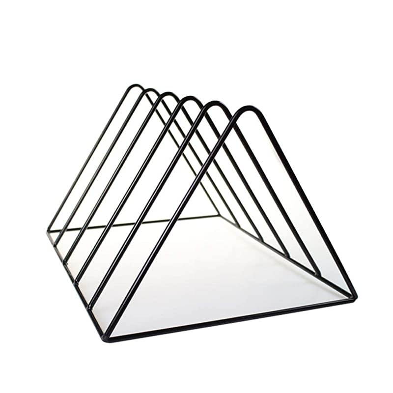 Vinyl Record Storage Holder Stand Premium Vinyl Coated Metal Wire Rack Holds up to 50 Album Lps Simple Functional and Contemporary Display Concept Design for 12 inch Records