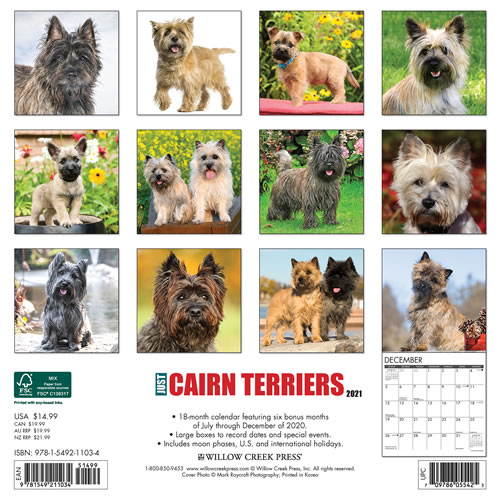 2021 Cairn Terriers Wall