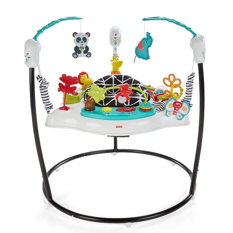 Fisher-Price FWY41 Animal Wonders Jumperoo with 360-Degree Spin Capacity, Teal