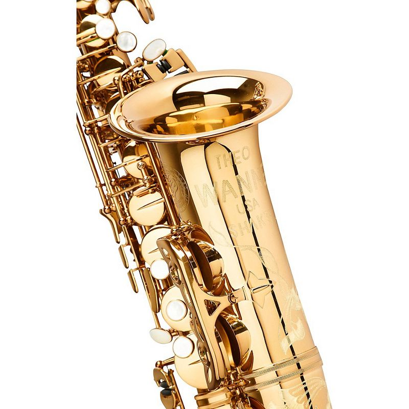Theo Wanne SHAKTI Professional Alto Saxophone Dark Gold Lacquer