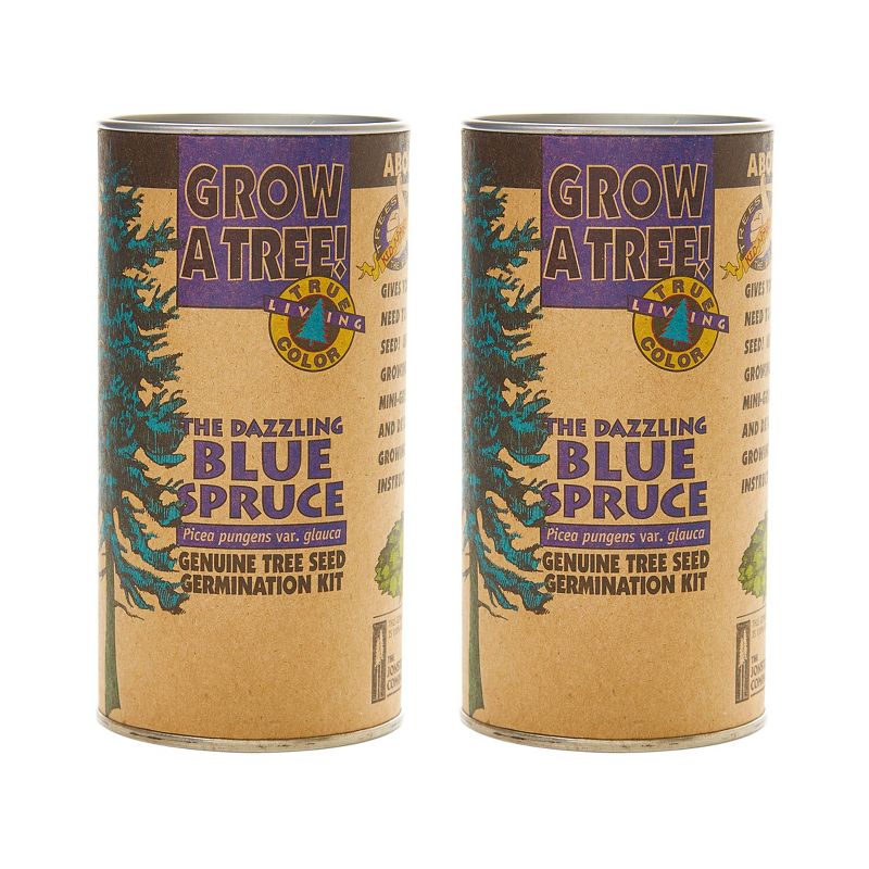 2pk Colorado Blue Spruce Seed Grow Kit - The Jonsteen Company
