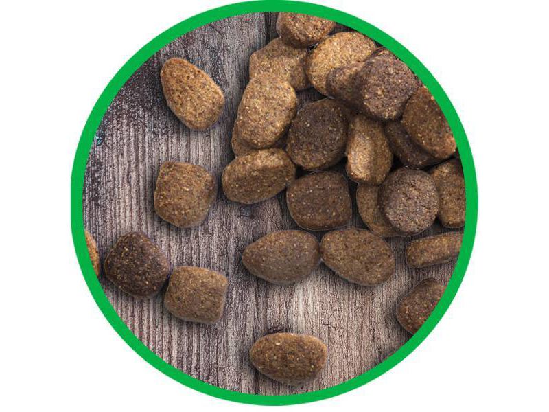 Iams Proactive Health Chicken Large Breed Mature Senior Premium Dry Dog Food - 15lbs