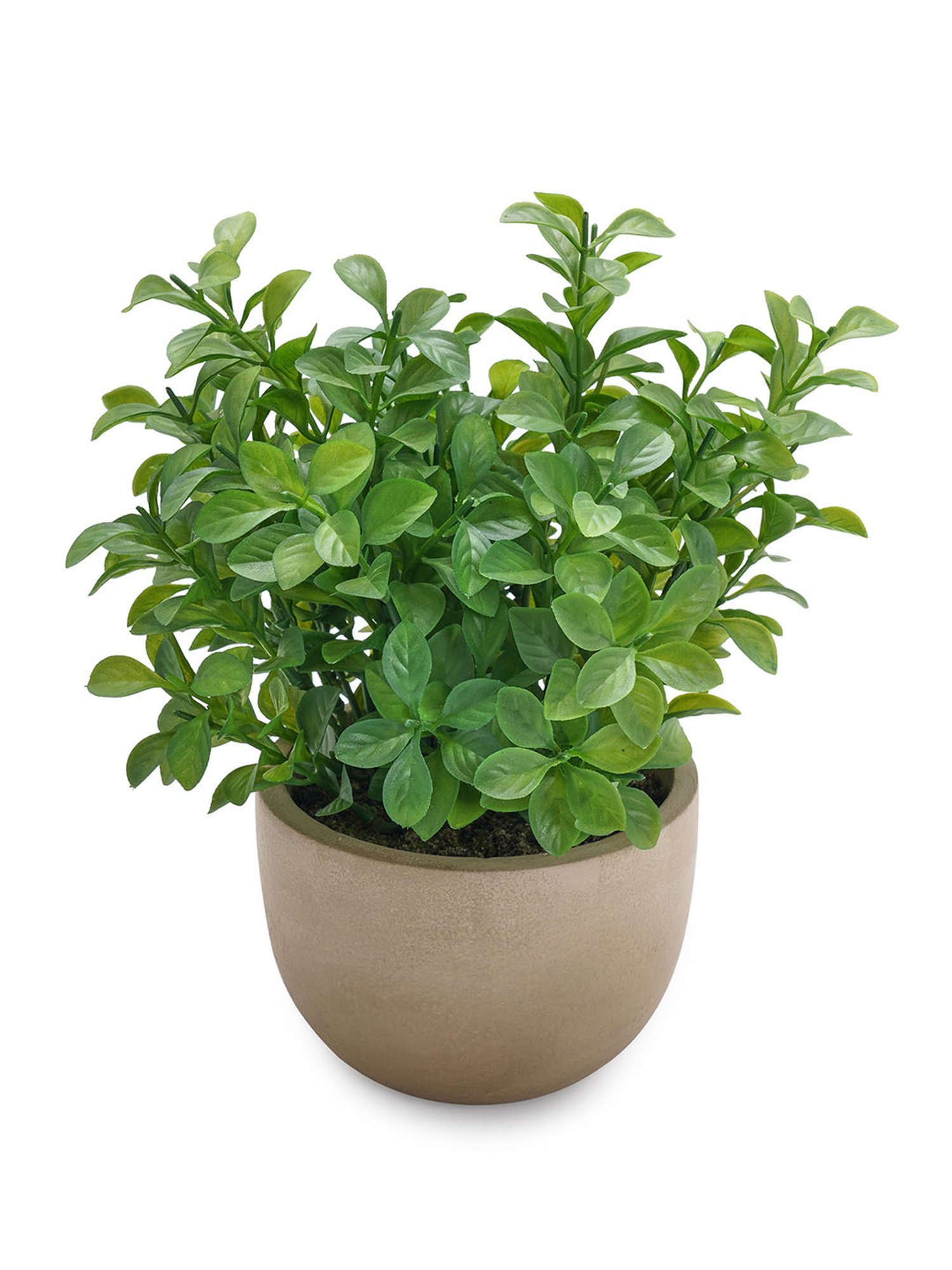 Pure Home and Living Green Plastic Potted Plants
