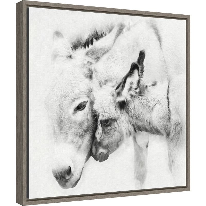 16" x 16" Donkey Portrait III by PH Burchett Framed Canvas Wall Art - Amanti Art