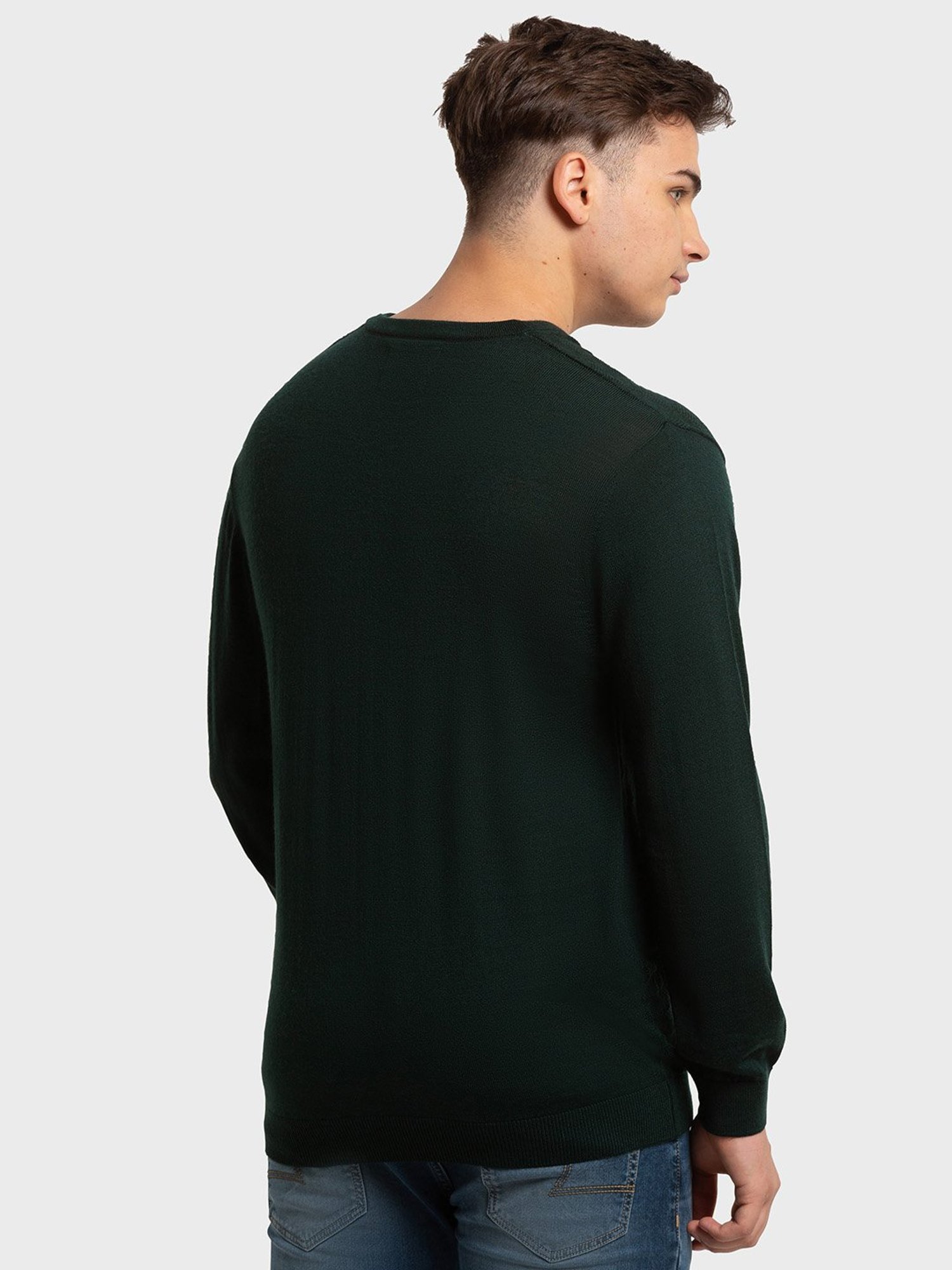 ColorPlus Green Tailored Fit Self Pattern Sweaters