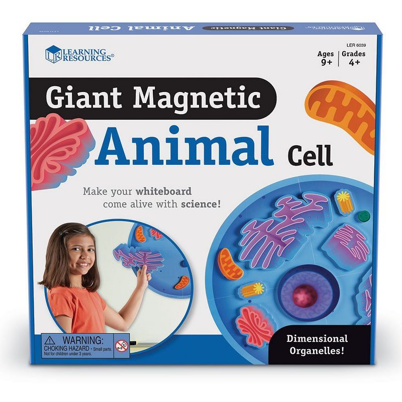 Learning Resources Giant Magnetic Animal Cell, 18 Piece Set, Ages 5+