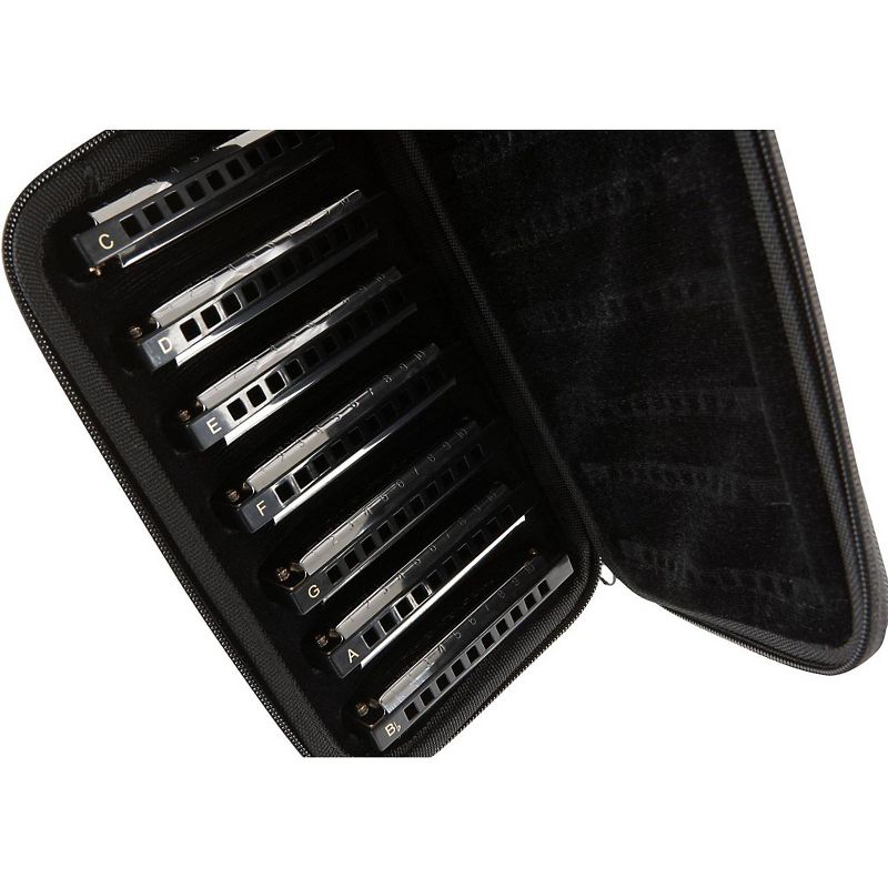 Hohner Progressive Series 560 Special 20 Harmonica (2-Pack) Eb