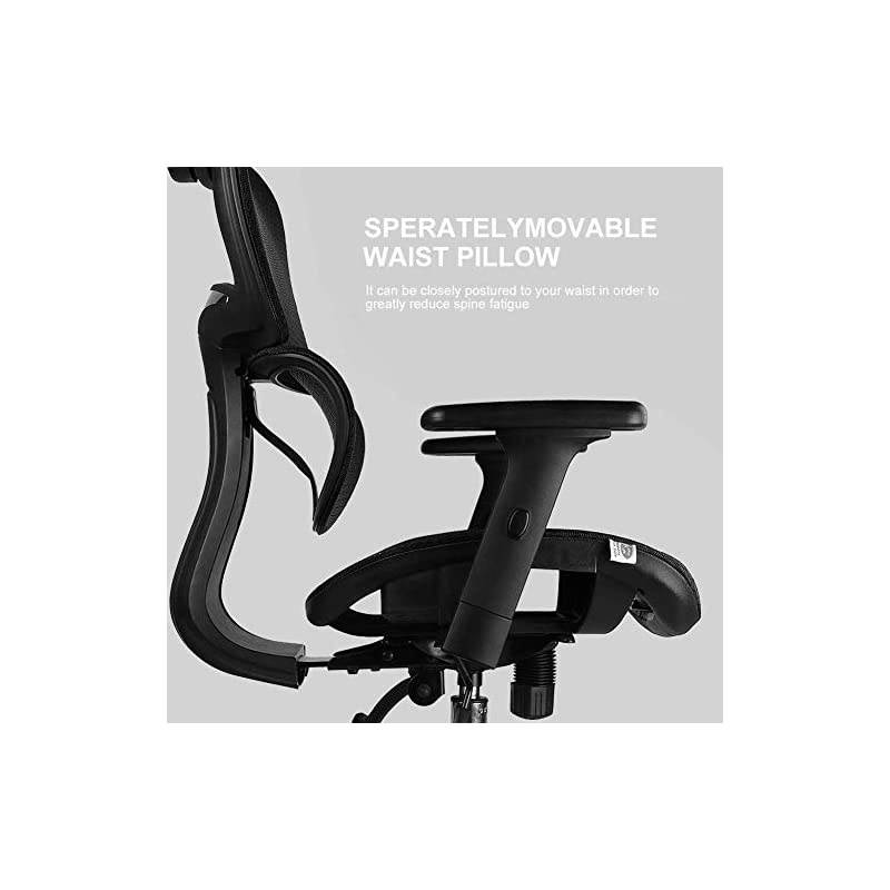 Chair, Ergonomics Mesh Chair Computer Chair Desk Chair High Back Chair w/Adjustable Headrest and Armrest