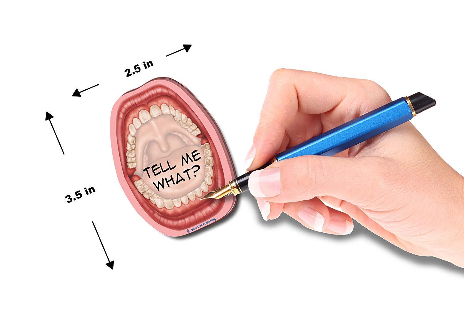 Anatomy Sticky Notes (Mouth 4 pack)