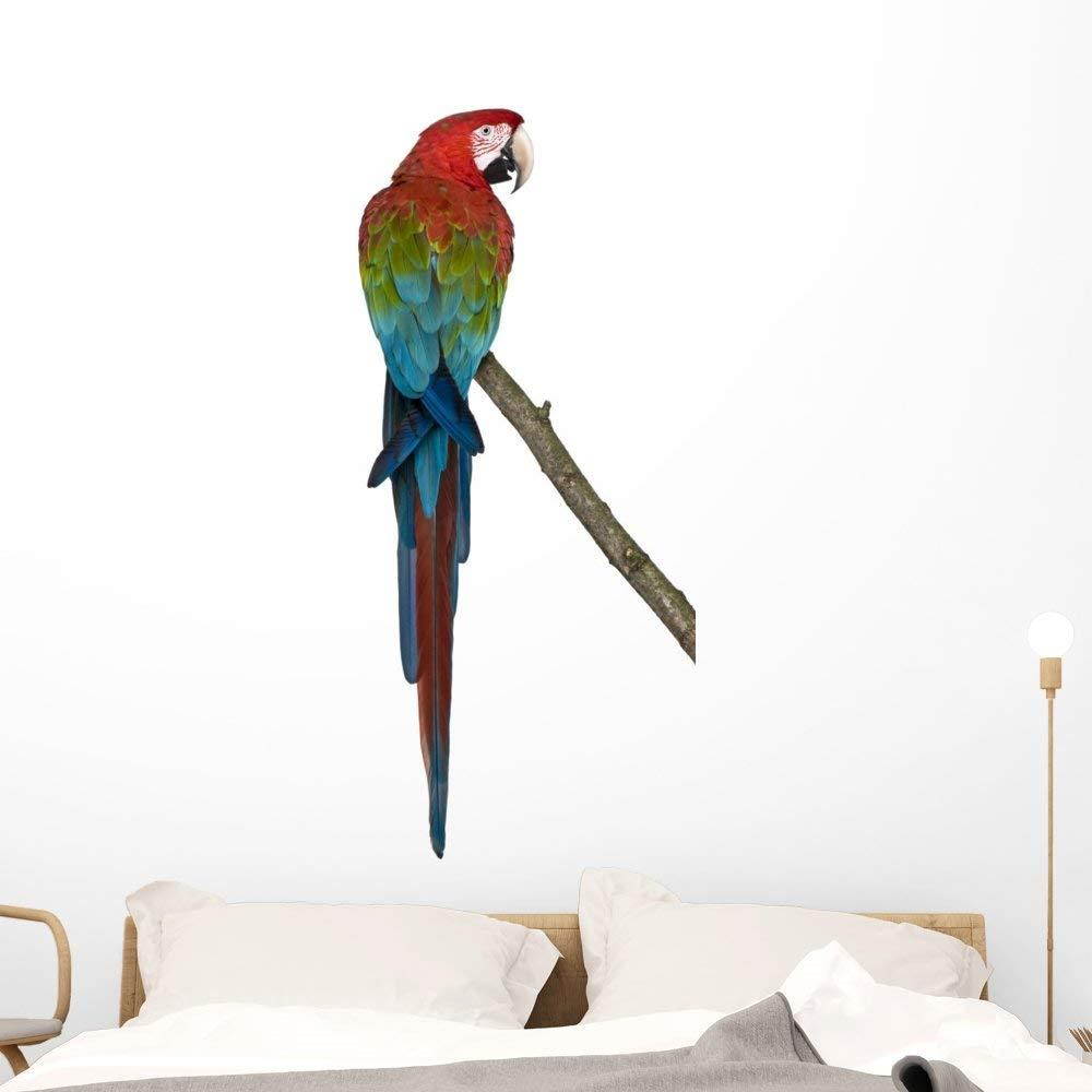 Wallmonkeys Red green Macaw Perching Branch Wall Decal Peel Stick Animal Graphics (48 in H x 25 in W) WM274269