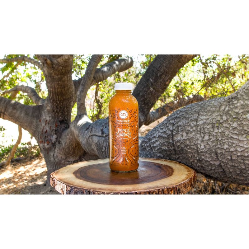 Sol-ti Chlorophyll Aloe SuperAde - 14.9 fl oz