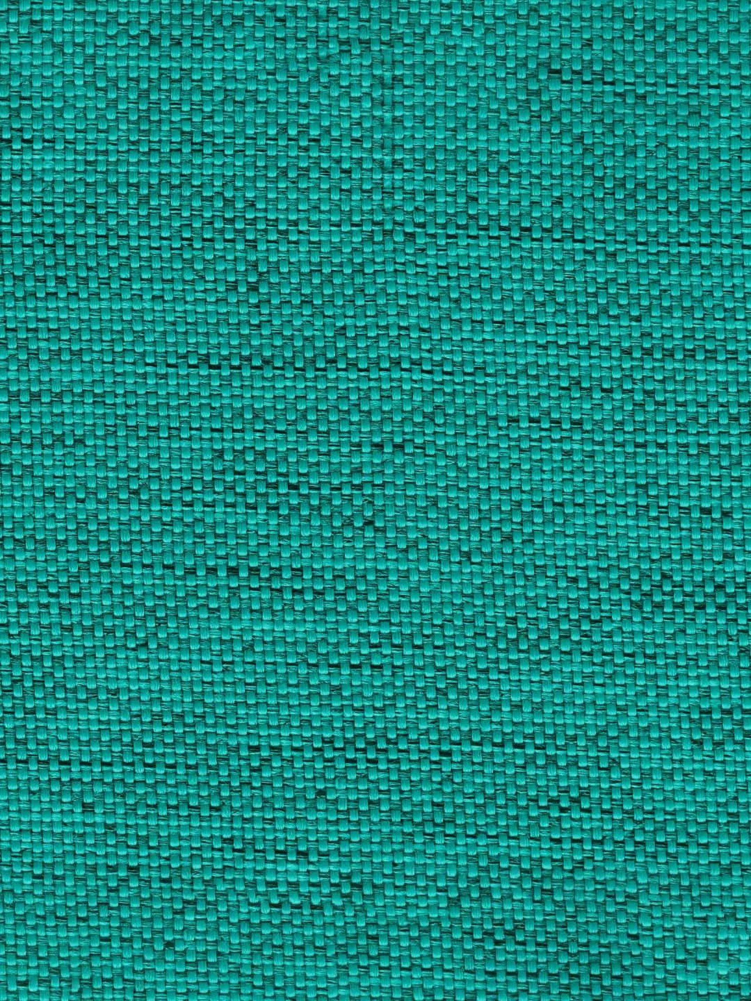 Chumbak Maldivian Solid Green Sheesham Wood Begum Wing Chair